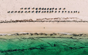 Djerba inscrite au patrimoine mondial de l’UNESCO