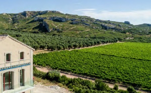 Les vignobles de Salon-de-Provence labellisés "Vignobles &amp; Découvertes"