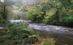 Bretagne : les Gorges du Stangala, le corridor sombre