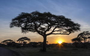 La case de l'Oncle Dom : une histoire d'amour… en terre africaine !