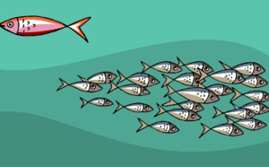 Dossier réseaux : pourquoi je reste indépendant 🔑 Dossier réseaux : pourquoi je reste indépendant 🔑