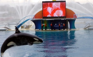 Marineland Parks : jusqu'à 32 % de réduction pour les CE Marineland Parks : jusqu'à 32 % de réduction pour les CE