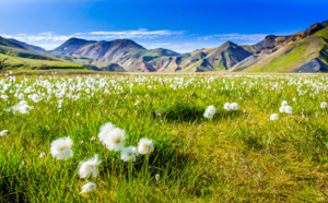 6/7 - Etude comparative circuits Islande : les alternatives au « tour d’Islande »