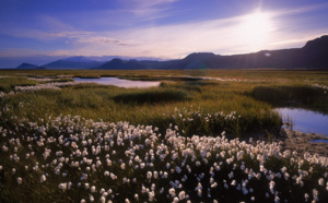 6/6 - Islande : Informations pratiques