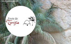 Envie de Maghreb, réceptif Tunisie