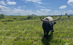 Collection estivale - Terra Balka vous dévoile ses expériences hors sentiers battus Collection estivale - Terra Balka vous dévoile ses expériences hors sentiers battus