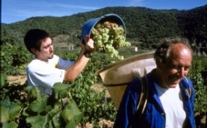Ociléo Vacances se spécialise dans la location de gîtes-vigneron