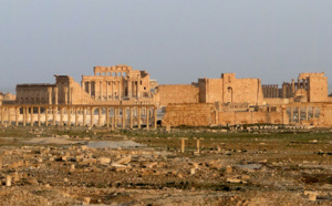 La Case de l'Oncle Dom : Palmyre... et la vie, bordel !