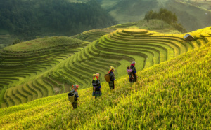 Nouvelles Frontières, un expert depuis plus de 30 ans de l’Asie du Sud-Est Nouvelles Frontières, un expert depuis plus de 30 ans de l’Asie du Sud-Est