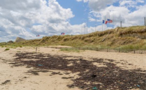 Normandie : le tourisme de mémoire va cartonner en 2024 !  🔑 Normandie : le tourisme de mémoire va cartonner en 2024 !  🔑