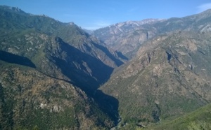 Jour 4 - Fam Visit California, découvrez Kings Canyon NP