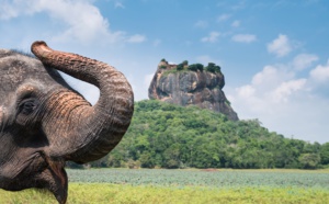 Le Sri Lanka remplace son ETA par un visa électronique | © ShutterStock