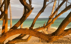 Samana, une autre version de la République Dominicaine Samana, une autre version de la République Dominicaine