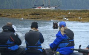 Le tourisme pour restaurer la biodiversité ?