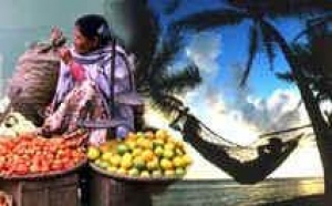 Odysseus : la qualité n’a pas de prix Odysseus : la qualité n’a pas de prix