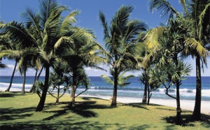 L'Ile de La Réunion se dote d'un Comité Régional du Tourisme 