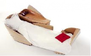 Air France fait sa révolution sur terre et dans les airs Air France fait sa révolution sur terre et dans les airs