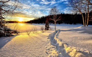 French Days : pourquoi c'est le moment idéal pour réserver vos vacances d'hiver French Days : pourquoi c'est le moment idéal pour réserver vos vacances d'hiver