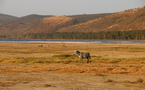 Safaris intimistes au Kenya
