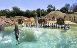 Marineland prépare la saison 2008 Marineland prépare la saison 2008