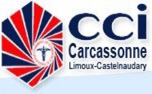 Aéroport de Carcassonne : 500 000 passagers en 2008