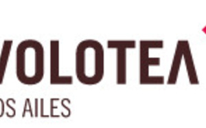 Volotea : vols Brest-Toulouse dès le 25 mars 2015