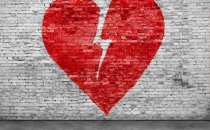 La Case de l'Oncle Dom : entre Znav/APST et Seto, mon cœur balance ! La Case de l'Oncle Dom : entre Znav/APST et Seto, mon cœur balance !