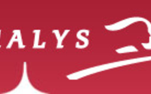 Thalys : trafic interrompu entre Bruxelles et Lille