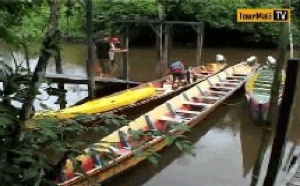 II - Réceptifs guyanais : l'appel du fleuve et de la forêt