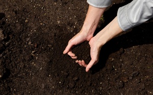 Le Potager Extraordinaire fait son grand retour à La Roche-sur-Yon le 1er juillet 2025 !