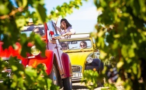 L’OT Côte du Midi lance une offre dédiée au voyage d'affaires L’OT Côte du Midi lance une offre dédiée au voyage d'affaires
