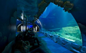 Aquarium de Paris : lancement d'un Medusarium le 9 février 2016