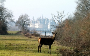 Blois - Pays de Chambord : 100 jours magiques pour valoriser l'offre touristique