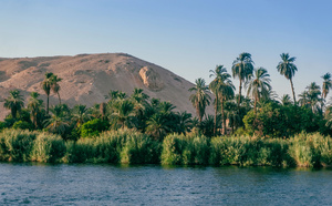Dahabeya Égypte dévoile sa programmation 2026