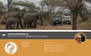 Galago Expeditions Ltd rejoint DMCMag.com