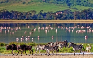 Liste noire Tanzanie : les compagnies étrangères en renfort ? Liste noire Tanzanie : les compagnies étrangères en renfort ?