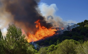 Incendies : quelle est la situation en Turquie et en Grèce ?