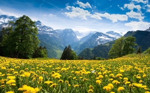 Suisse : Trip-It-Up acquiert SuissePiste