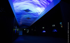 Pour éclairer les abysses, Aquarium La Rochelle ouvre une "Galerie des Lumières"