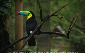 Colombie, au rythme des ailes