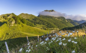 Randonnée Pyrénées : sur les traces du bouquetin en Ariège