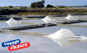Immersion dans les Pays de la Loire avec Eden en France