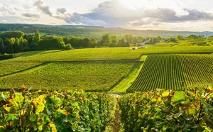 Tourisme été 2025 : dynamisme des arrivées étrangères, et budgets serrés des Français Tourisme été 2025 : dynamisme des arrivées étrangères, et budgets serrés des Français