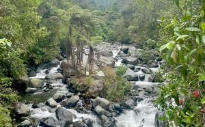 De Cali au Pacifique : un voyage entre culture, nature et océan