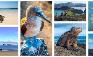 Galapagos : Celebrity Cruises rachète le TO Ocean Adventures