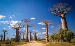 Albanie, Pologne, Madagascar : Aya Voyages élargit son horizon