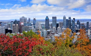 Hiver : French bee renforce La Réunion et l’Atlantique Nord Hiver : French bee renforce La Réunion et l’Atlantique Nord