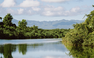 Les Îles de Guadeloupe vous dévoilent leurs secrets Les Îles de Guadeloupe vous dévoilent leurs secrets