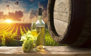 "Vignobles en Scène", nouveau rendez-vous annuel de l’œnotourisme