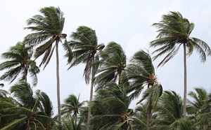 Vigilance maximale en Guadeloupe face à la tempête tropicale Jerry